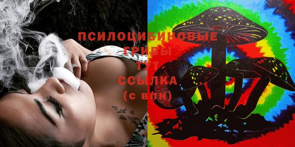 наркотики Бородино